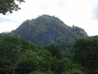 padeiro