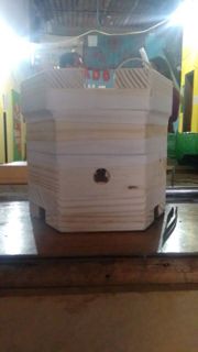 Meliponicultura 10